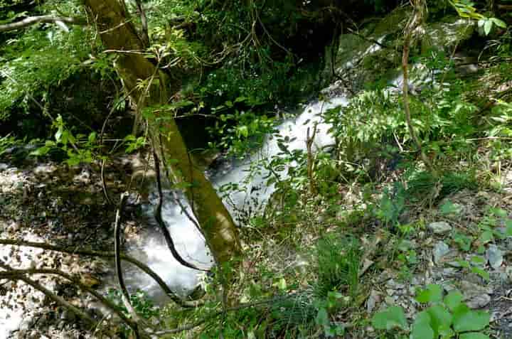 �����E��̑�